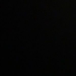 Meet your Posher, Gavin